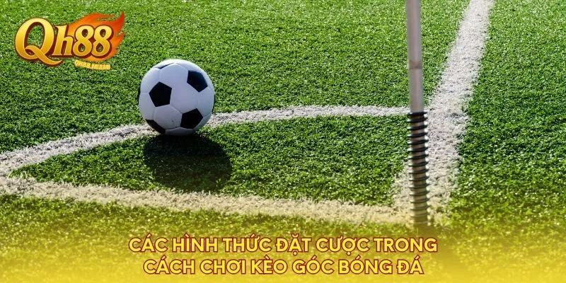 cac-hinh-thuc-dat-cuoc-trong-cach-choi-keo-goc-bong-da