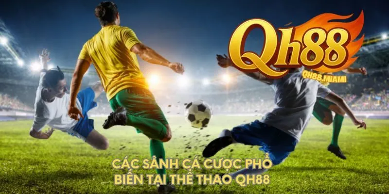 cac-sanh-ca-cuoc-pho-bien-tai-the-thao-qh88