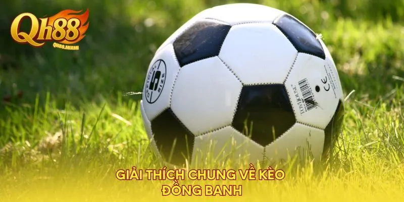 giai-thich-chung-ve-keo-dong-banh