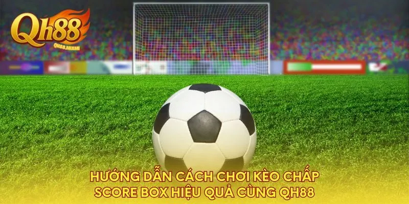 huong-dan-cach-choi-keo-chap-score-box-hieu-qua-cung-qh88