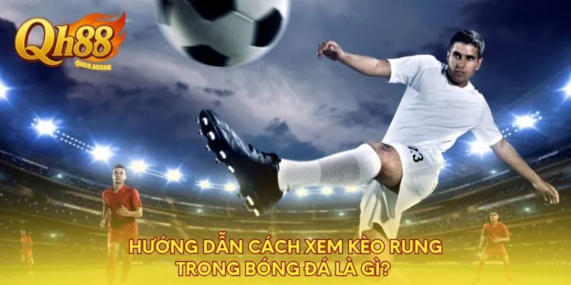 huong-dan-cach-xem-keo-rung-trong-bong-da-la-gi