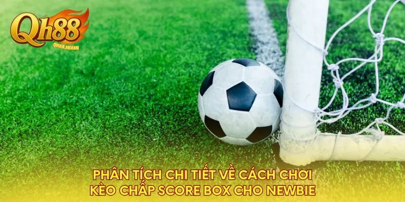 phan-tich-chi-tiet-ve-cach-choi-keo-chap-score-box-cho-newbie