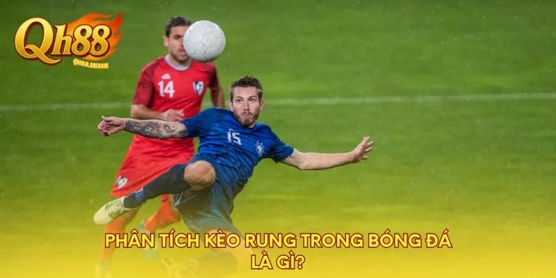 phan-tich-keo-rung-trong-bong-da-la-gi