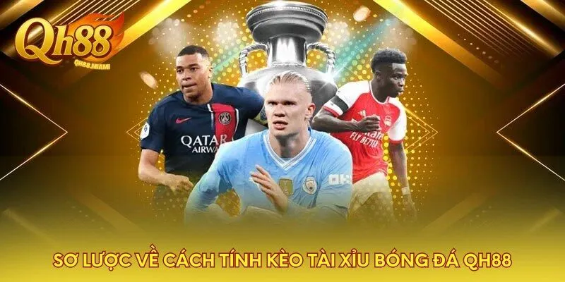 so-luoc-ve-cach-tinh-keo-tai-xiu-bong-da-qh88