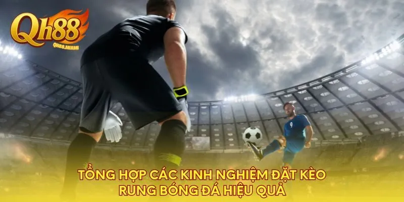 tong-hop-cac-kinh-nghiem-dat-keo-rung-bong-da-hieu-qua