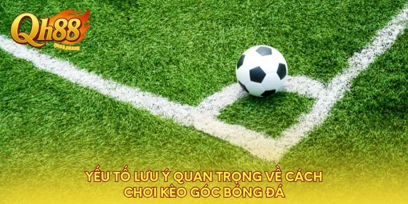 yeu-to-luu-y-quan-trong-ve-cach-choi-keo-goc-bong-da